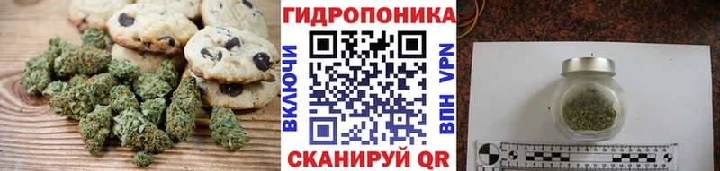 дарнет шоп  Новосокольники  ссылка на мегу зеркало  Печенье с ТГК марихуана 