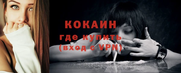 ГАЛЛЮЦИНОГЕННЫЕ ГРИБЫ Верея