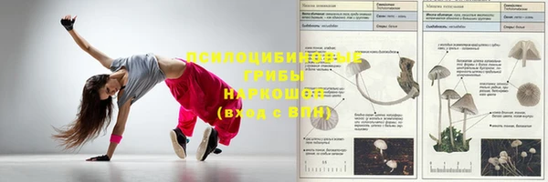 ГАЛЛЮЦИНОГЕННЫЕ ГРИБЫ Верея