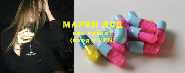 ГАЛЛЮЦИНОГЕННЫЕ ГРИБЫ Верея