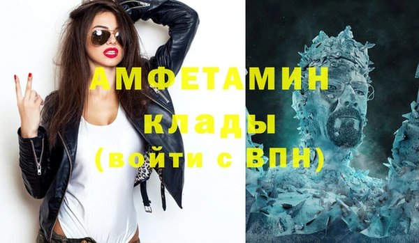 ГАЛЛЮЦИНОГЕННЫЕ ГРИБЫ Верея