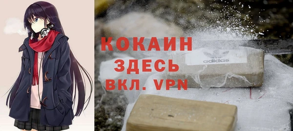 ГАЛЛЮЦИНОГЕННЫЕ ГРИБЫ Верея